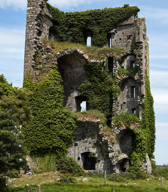 Ballymarkahan Castle, Republic of Ireland, Ireland